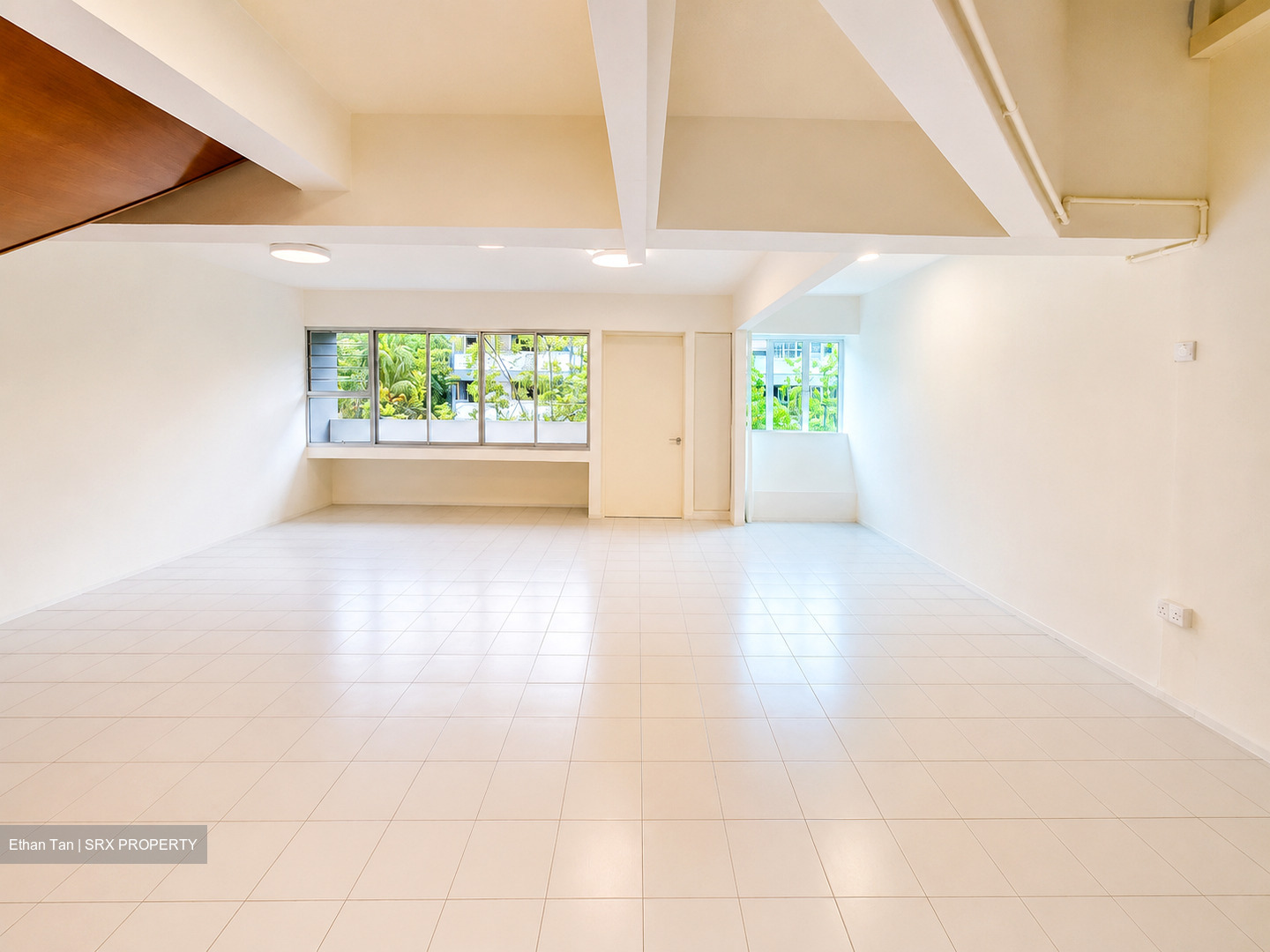 Dunearn Road (D11), Condominium #570905801